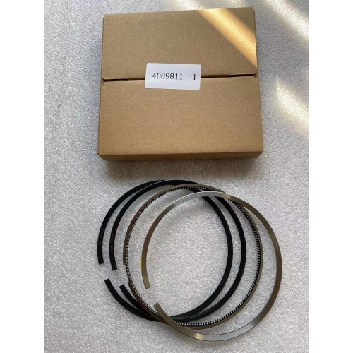 CUMMINS NTA855 Piston Ring Set 4089811 China Manufacturers